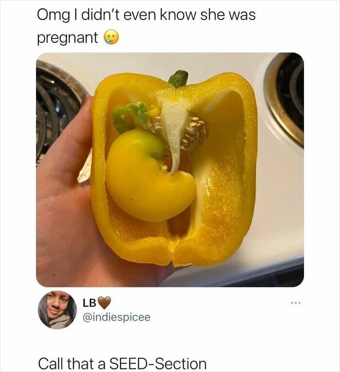 Hand holding a yellow bell pepper with a smaller pepper inside, a medical meme about pregnancy and seed-section humor.