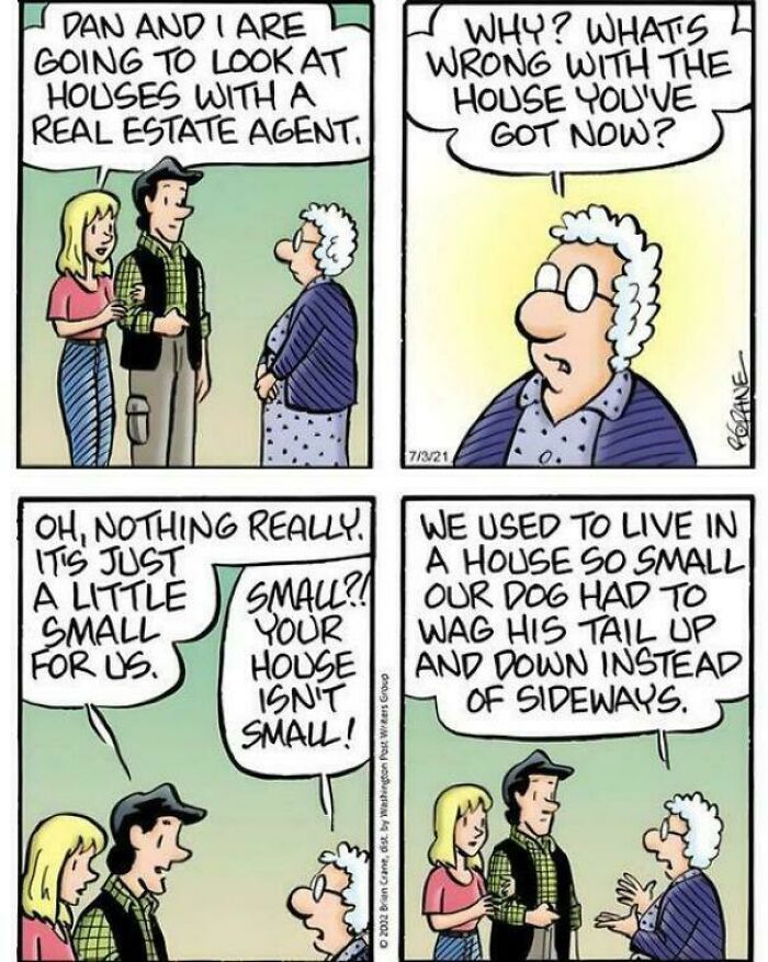 Comic strip showing a couple discussing house size with an elderly woman, illustrating cringy jokes about boomers and the internet.