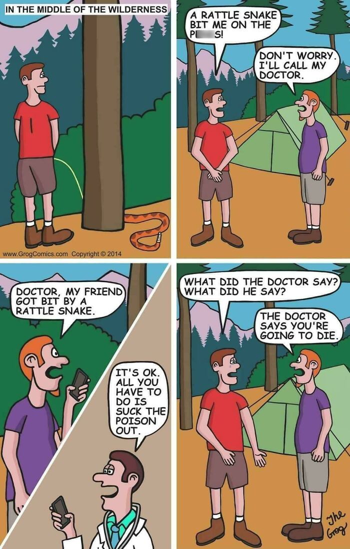 Comic strip showing a cringy joke about a rattlesnake bite, featuring humor related to boomers and internet culture.