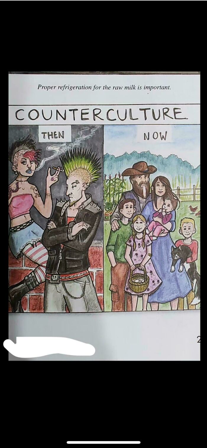 Illustration comparing counterculture then with punk style and now with a family in rural setting, highlighting cringy internet jokes.
