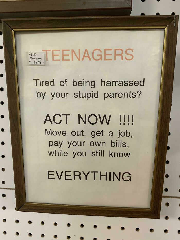 Framed sign humor about teenagers telling them to move out and get a job, highlighting cringy boomer internet jokes.