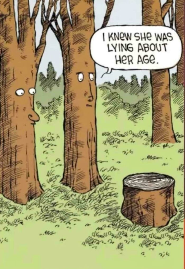 Cartoon of talking trees with one stump saying she was lying about her age, funny cringy jokes about boomers and internet.