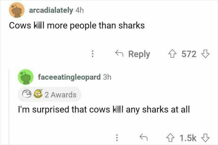 Screenshot of an internet response joking about cows k*****g more people than sharks, showcasing witty online reactions.