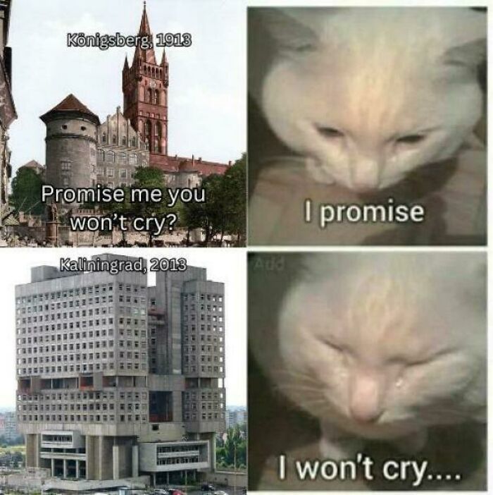 Comparison of Königsberg 1913 and Kaliningrad 2013 with a sad cat meme highlighting history lessons memes.