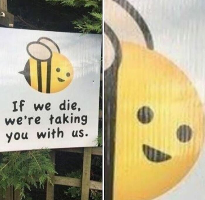 Funny animal meme of a smiling bee with a sign saying if we die, we're taking you with us.