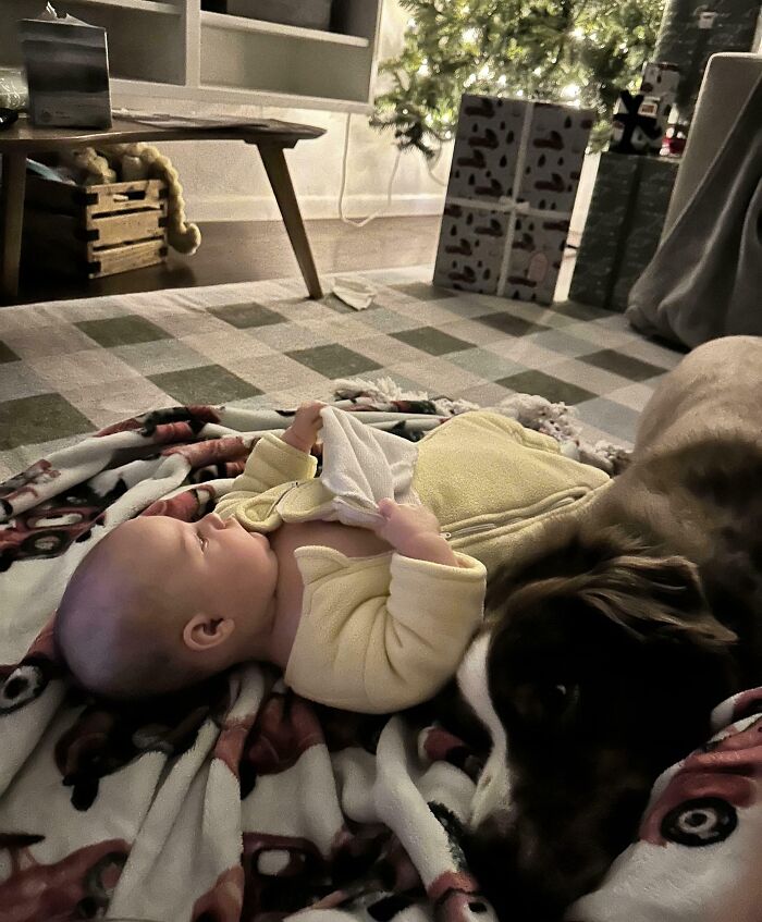 Baby and dog lying on a blanket near a Christmas tree, capturing a moment of amazing luck and calm warmth indoors.