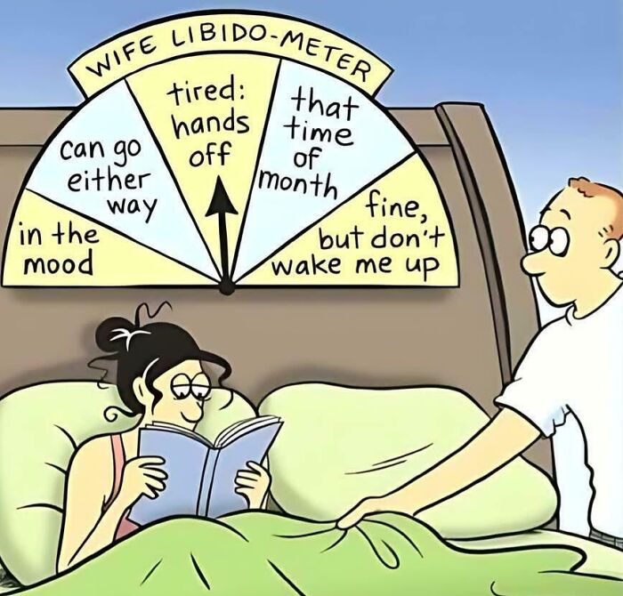 Cartoon showing wife libido-meter with funny levels, capturing cringy jokes about boomers and the internet humor.