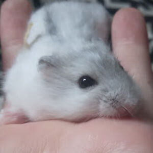 annahandaya1806048 avatar