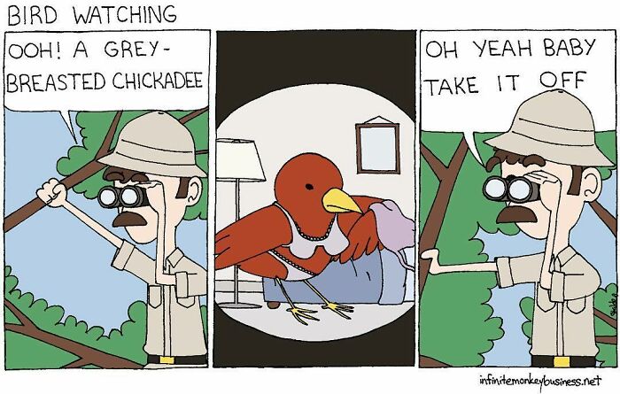 Man bird watching with binoculars observing a humorous comic scene featuring an absurdly funny bird character.