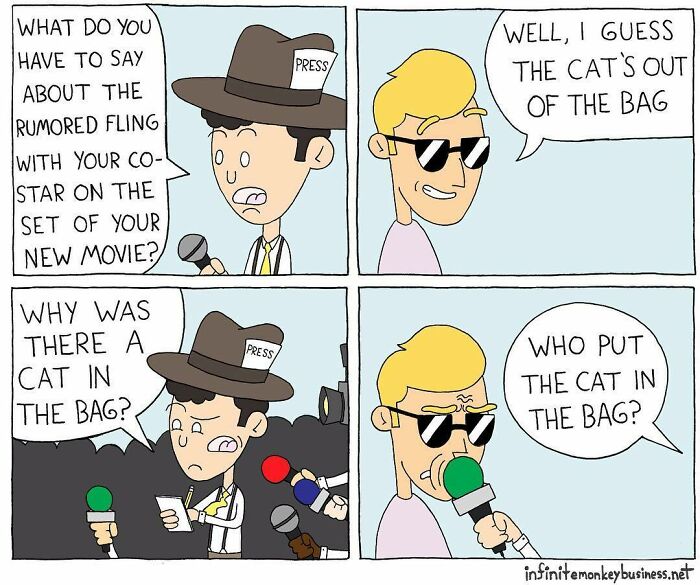 Absurdly funny comic showing a reporter questioning a celebrity about a rumored fling and a cat in a bag.