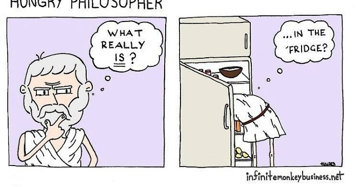 Absurdly funny comic of a philosopher humorously questioning what really is in the fridge, showcasing clever humor.