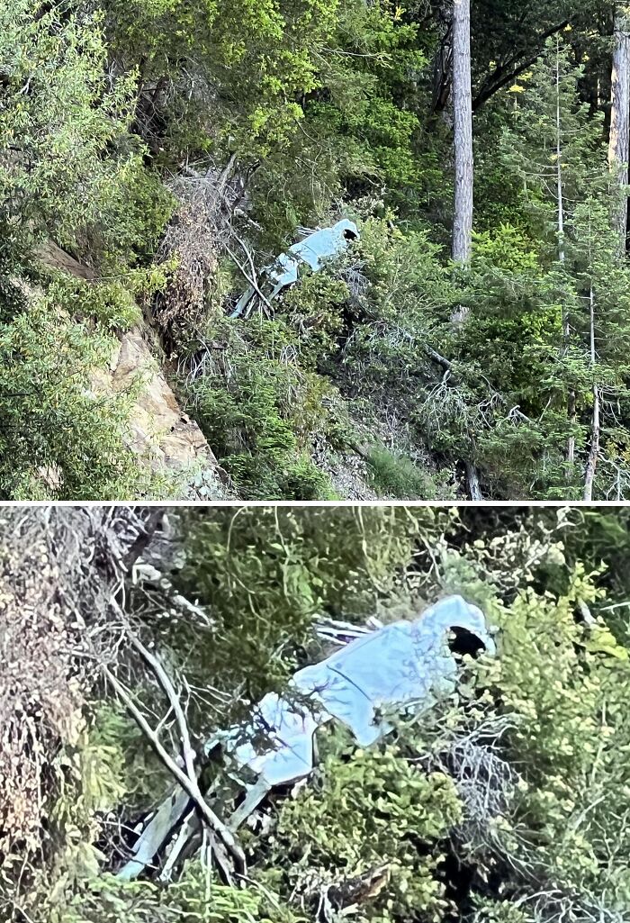 Mysterious metallic figure shaped like a dinosaur hidden among dense forest trees, adding to interesting mysteries nature holds.