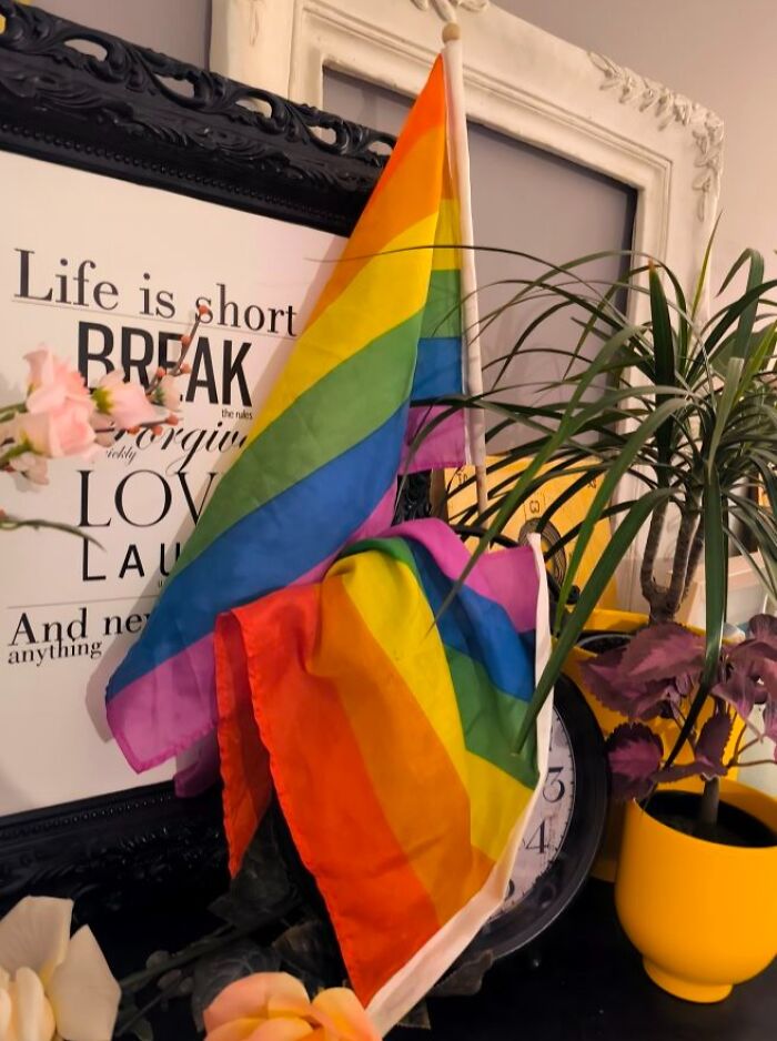 Rainbow pride flags among plants and framed quotes, capturing real-life glitches in the matrix moments.