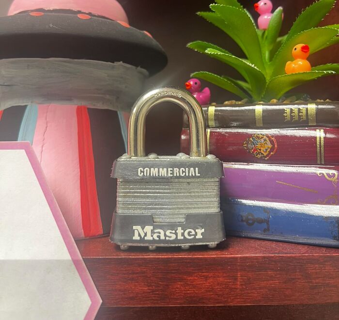 Master lock glitch in the matrix scene with miniature plants, books, and colorful rubber ducks on a wooden shelf.
