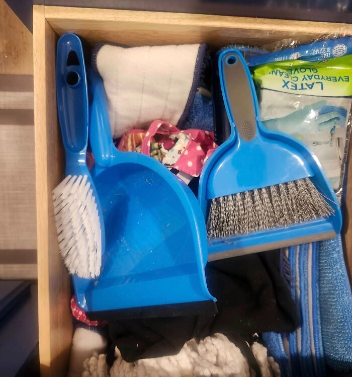 Blue dustpan and brush set inside a drawer, showing a real-life glitch with duplicated cleaning tools documented.