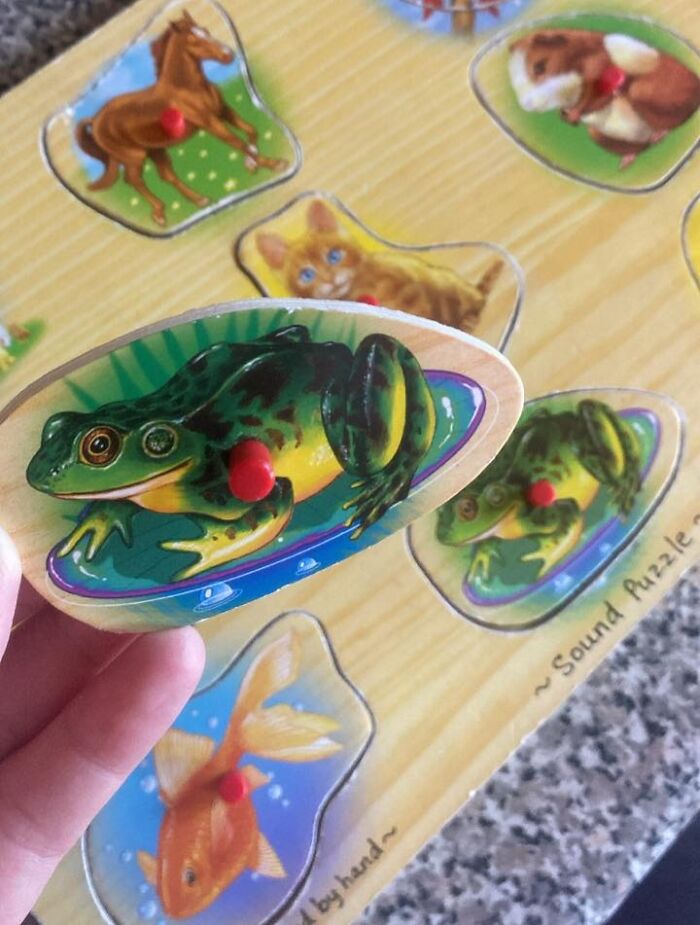 Hand holding a frog puzzle piece showing a glitch with the frog image duplicated on the wooden board beneath.