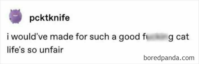 Text meme from Casual Nihilism about unfair cat life, featuring a purple cartoon monster avatar and casual font.