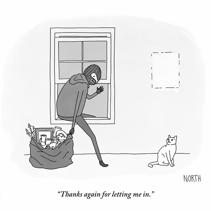 One-panel comic by Rich North showing a masked figure sneaking in through a window as a cat watches nearby.
