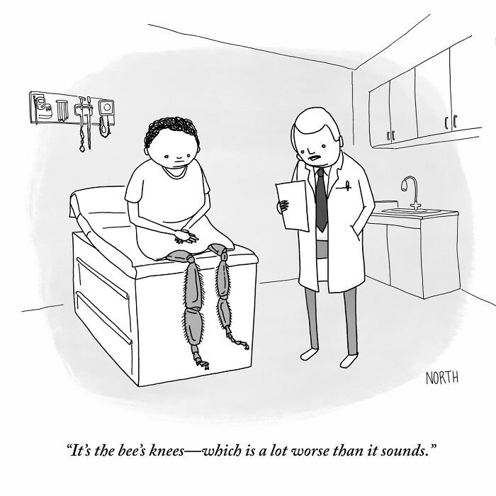 One-panel comic by Rich North showing a patient with bee knees and a doctor delivering a funny diagnosis.