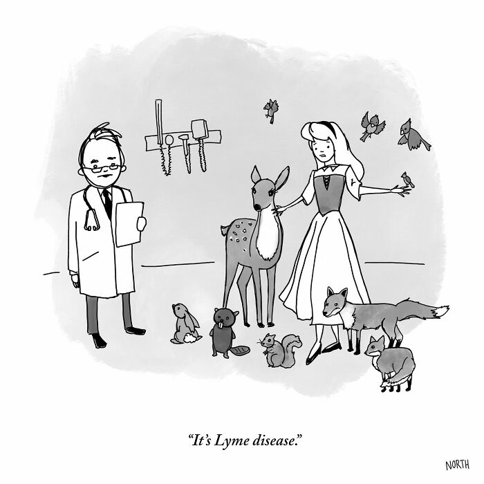 One-panel comic by Rich North showing a doctor explaining Lyme disease to a woman surrounded by forest animals.