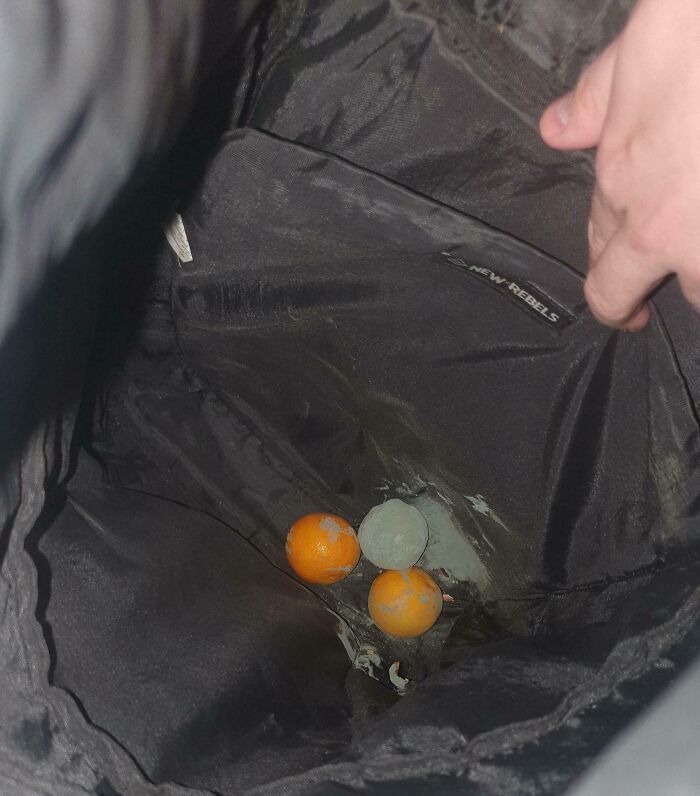 Inside of a black bag with moldy oranges, showing a funny unfortunate situation of forgetting something causing a mess.
