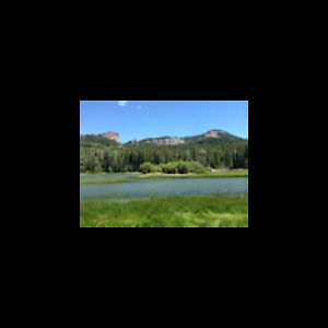 jeanetteritchey avatar