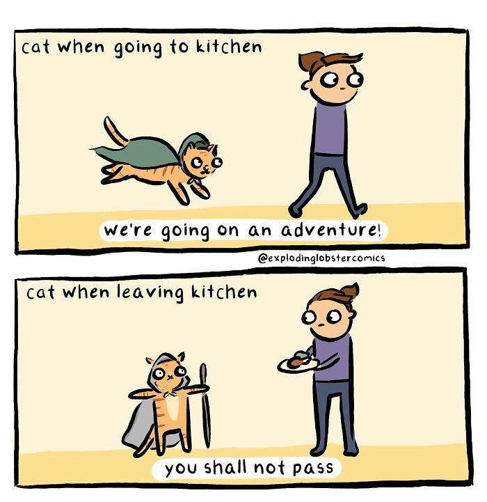 Comic artist's silly and honest depiction of a cat acting adventurous going to kitchen and protective leaving kitchen.