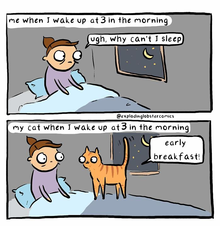 Comic showing a person awake at 3 AM unable to sleep while their cat demands an early breakfast, silly and honest comic art.