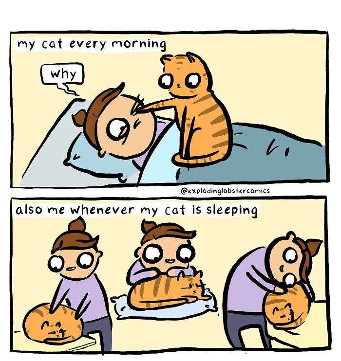 Comic by artist showing silly and honest moments with a cat, capturing a little too real pet owner life.