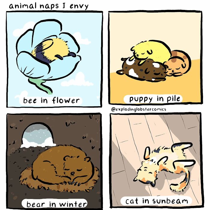 Comic panels showing animal naps including a bee in flower, puppy in pile, bear in winter, and cat in sunbeam, silly honest comics.