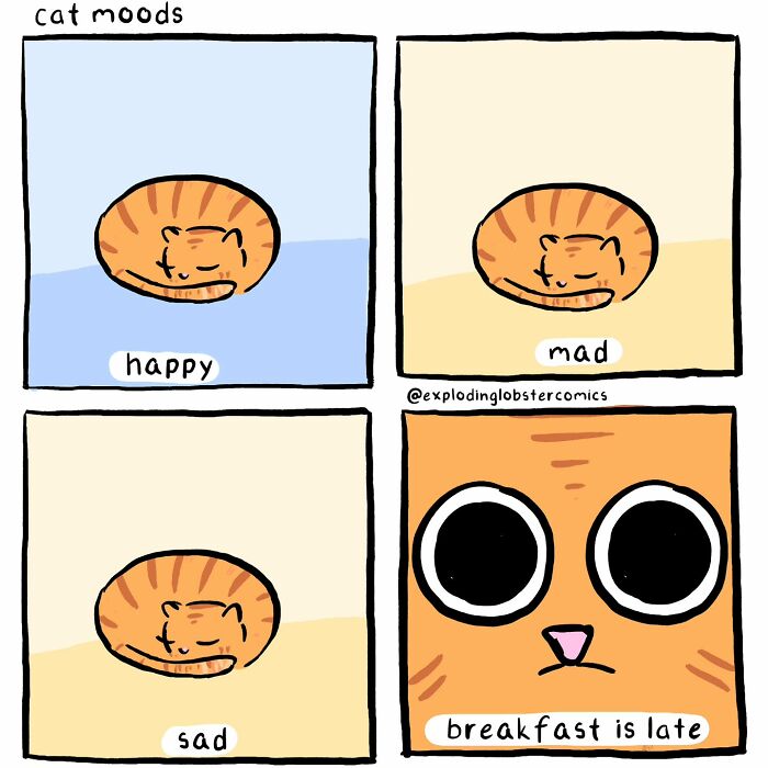 Comic by explodinglobstercomics shows a cat with silly, honest moods ending with a wide-eyed "breakfast is late" panel.