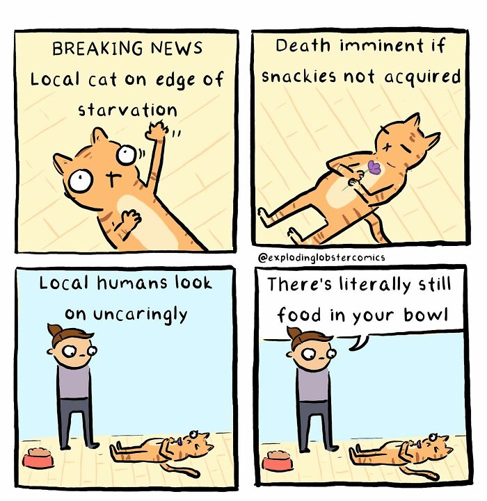 Comic strip depicting a silly, honest cat on edge of starvation, reflecting relatable moments in comics by this artist.