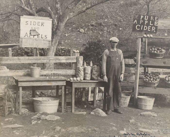 Man in overalls standing by roadside stand selling apples and cider, rare photo capturing Great Depression era life.