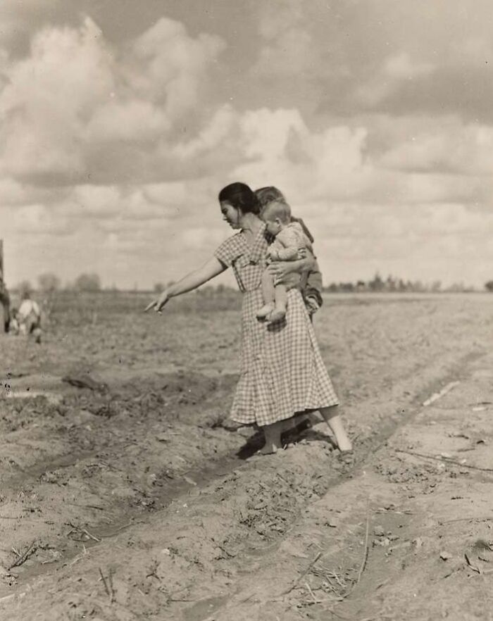 Woman holding two children working in a field during the Great Depression era, showcasing rare historical moments.