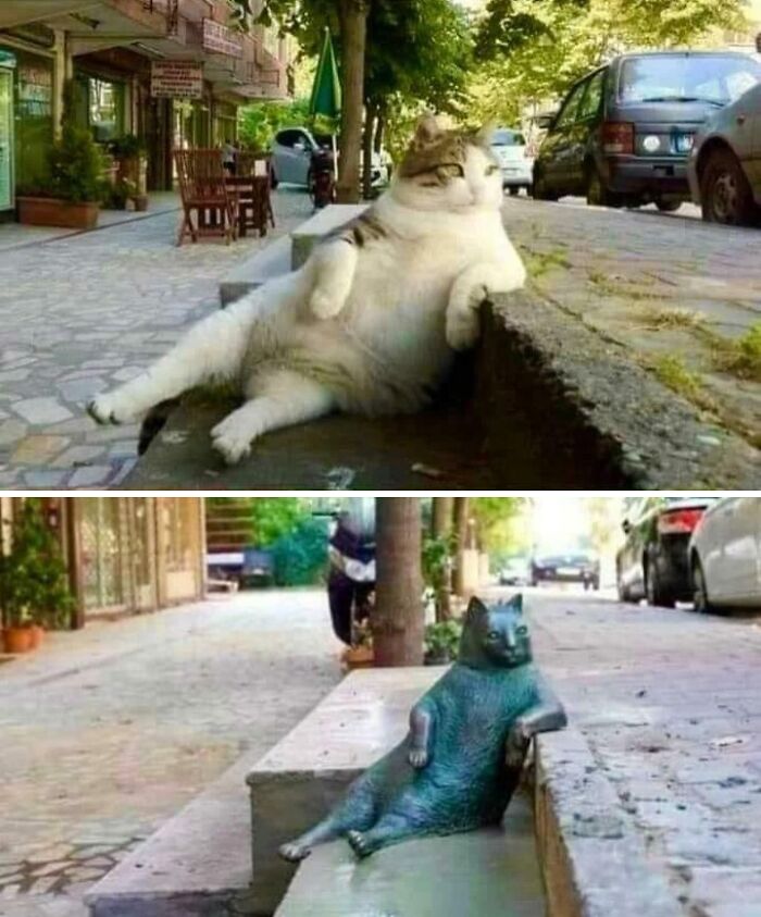 Relaxed cat reclining on the street next to a statue in the same pose, illustrating unusual and cool world facts.
