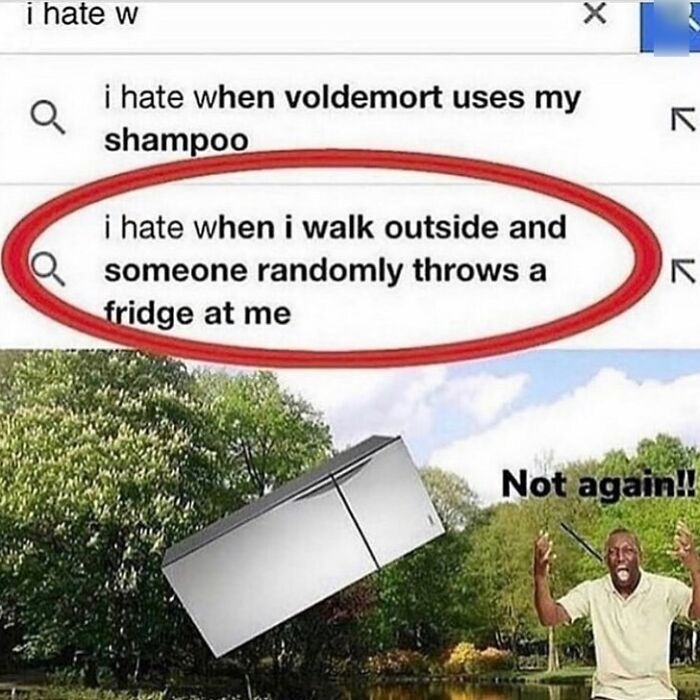 Search result showing a bizarre complaint about someone throwing a fridge, paired with a weird unhinged humor meme.