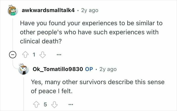 Reddit user discussing experiences and peace felt among survivors who died for 24 minutes and were clinically dead.