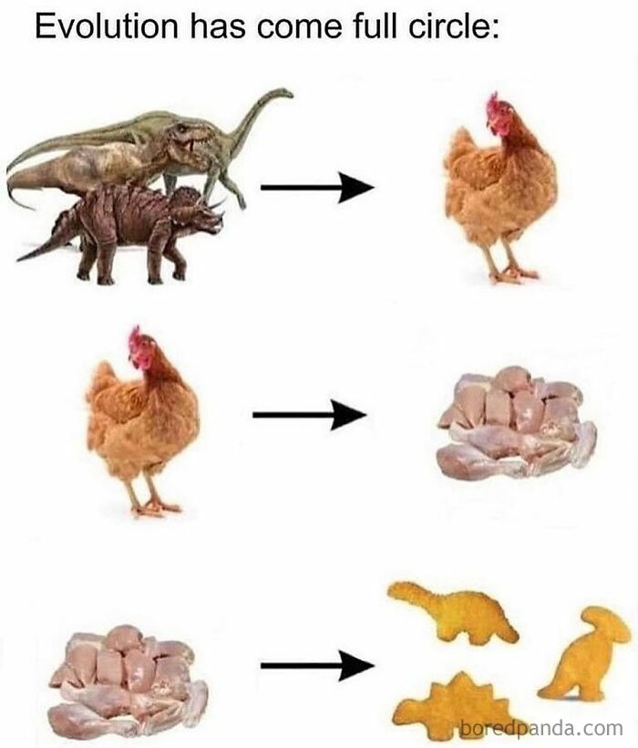 Dinosaur evolution humor showing progression from dinosaurs to chicken to chicken nuggets shaped like dinosaurs.