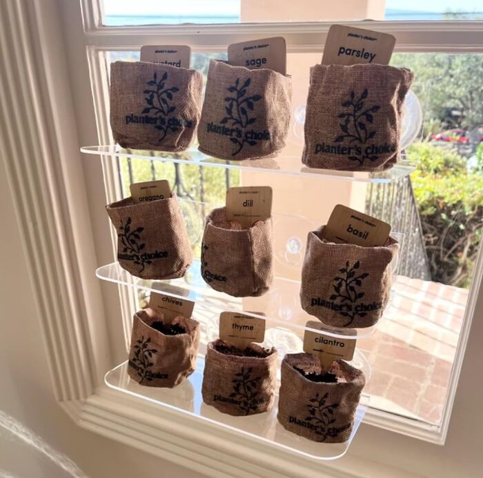 Small fabric planters with herb seeds growing on a clear window-mounted rack, ideal cool gifts for plant lovers.