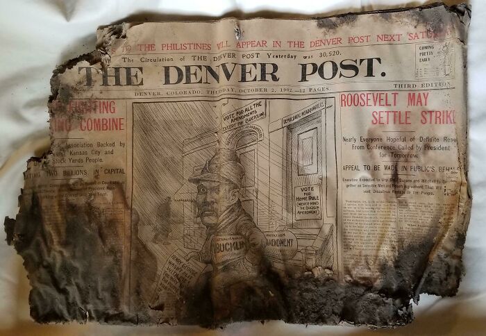 Fossil under the floor boards showing a charred old newspaper with historical political cartoons and headlines
