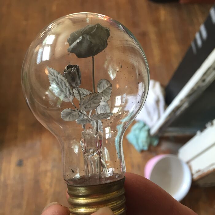 Hand holding a light bulb with a delicate metal flower inside, an unusual fossil found in an old home mystery.