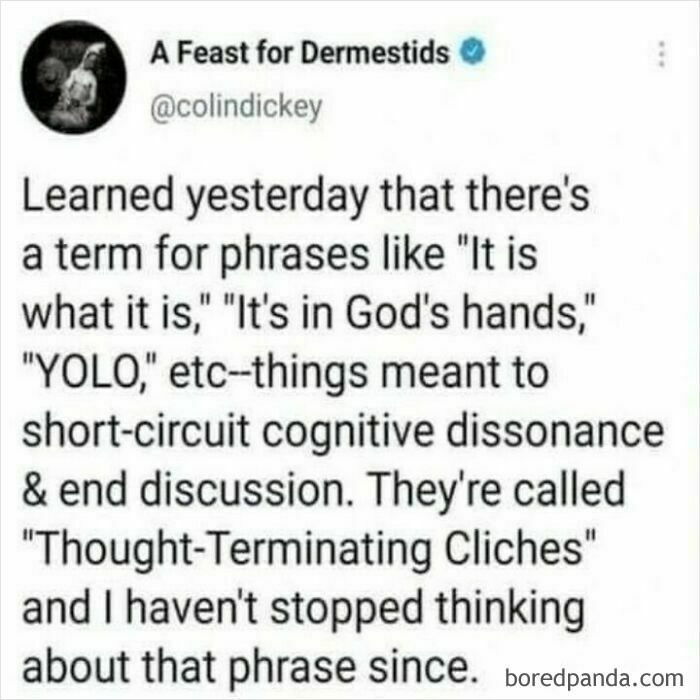 Tweet explaining thought-terminating clichés with humor, fitting the theme of casual nihilism memes.