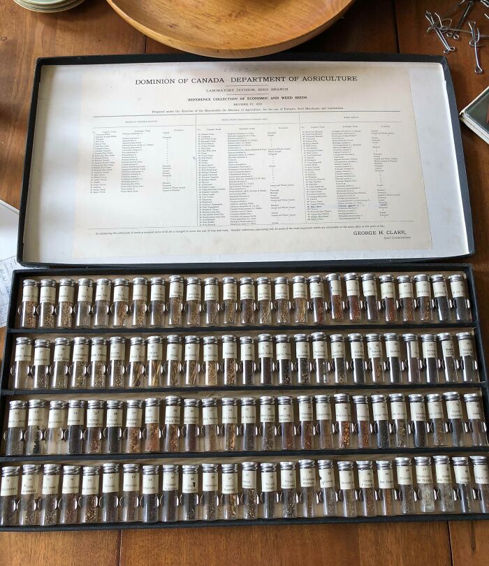 Vintage collection of seed samples in glass vials from Canada’s Department of Agriculture found in an old home setting.