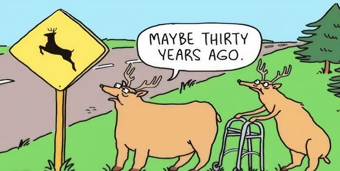 Cartoon of two deer near a deer crossing sign with one saying maybe thirty years ago, illustrating cringy boomer internet jokes.