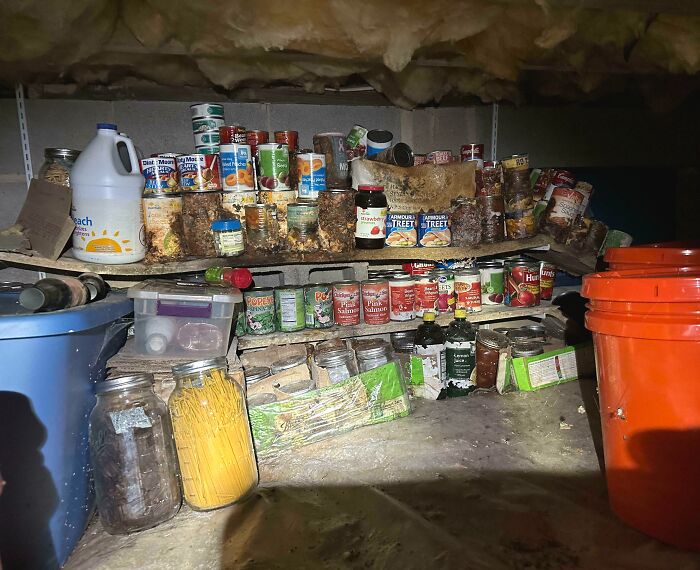 Old pantry under floor boards filled with cans, jars, and containers found in an old home discovery.