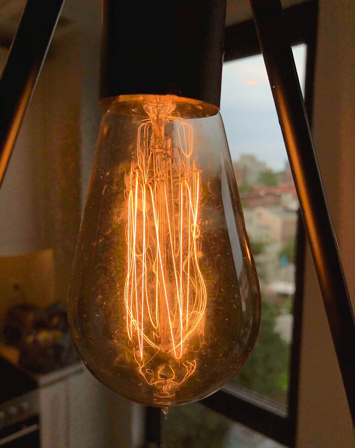 Close-up of a vintage light bulb glowing inside a modern lamp, illustrating unique finds in old homes and fossil under the floor boards.