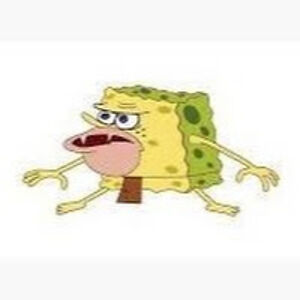 finnlyoliverfinnlyreed avatar