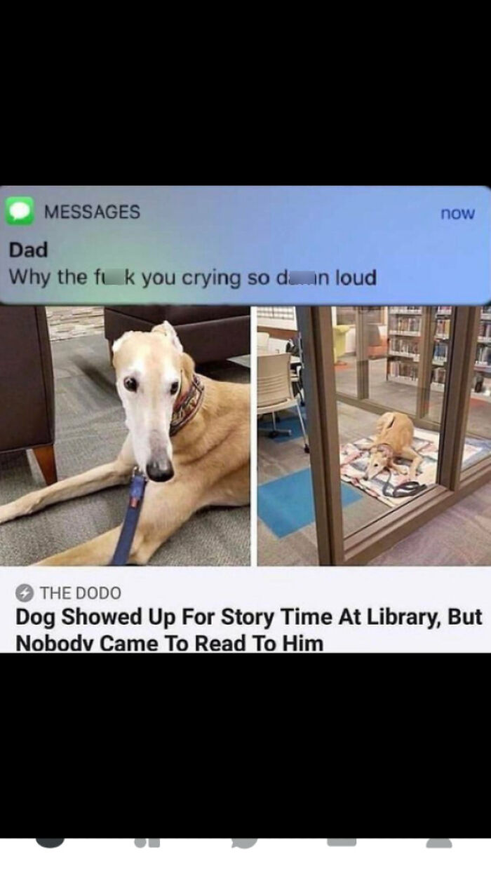 Screenshot of a dog waiting alone at a library for story time alongside a funny text message from Dad.