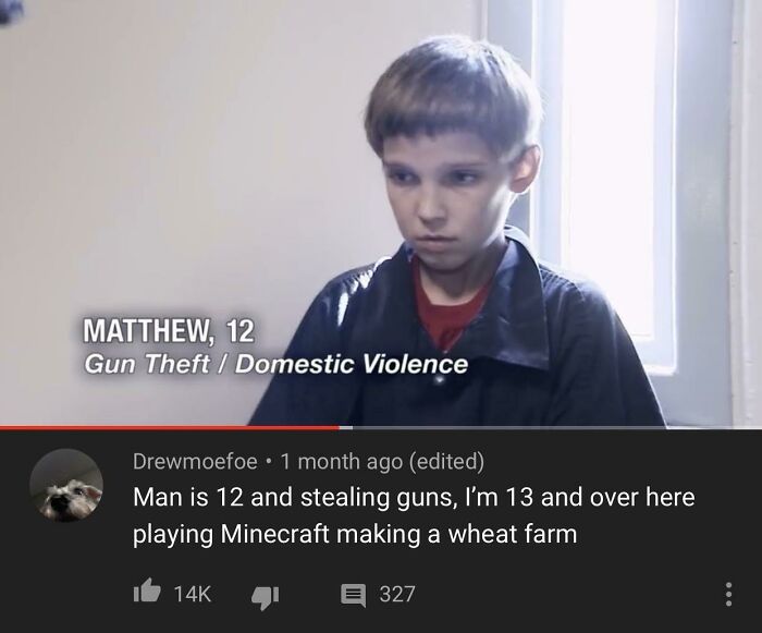 Young boy labeled with gun theft and domestic violence, internet screenshot captures weird online comment about Minecraft wheat farm.