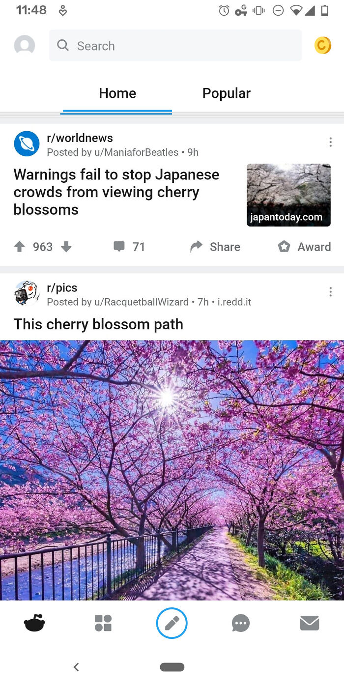 Screenshot of a Reddit post showing a cherry blossom path under bright sunlight, highlighting weird internet moments.